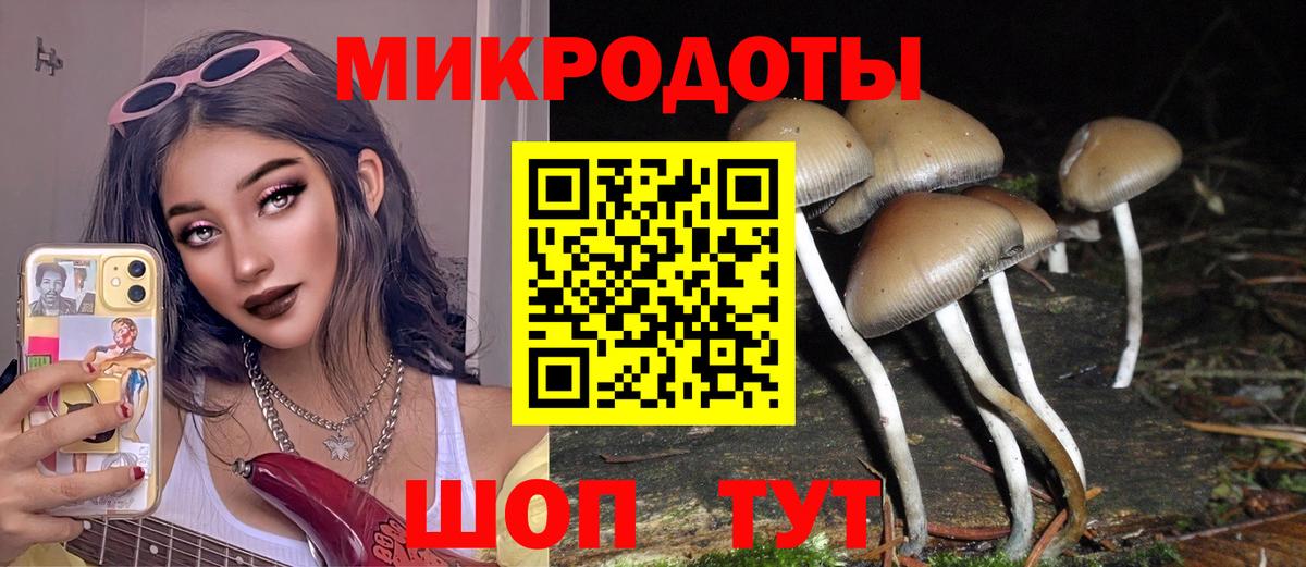 Галлюциногенные грибы GOLDEN TEACHER Куйбышев
