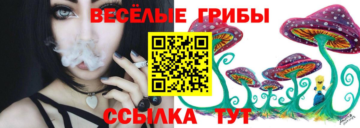 Галлюциногенные грибы Cubensis  Псилоцибиновые грибы GOLDEN TEACHER  Куйбышев  Вход с VPN 